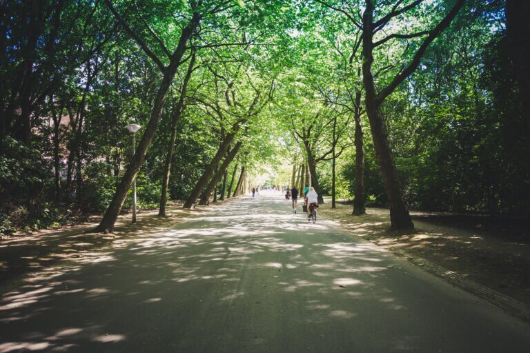 Parkeren in de buurt van het Vondelpark